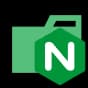 nginx logo
